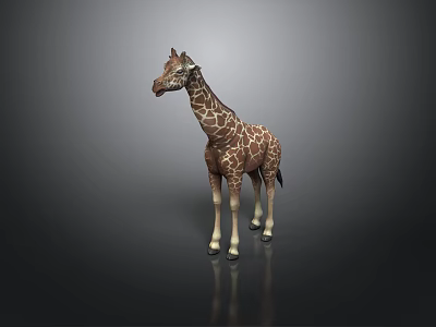 Brown And White Spotted Giraffe With Long Neck Standing Against Dark Background 3d model