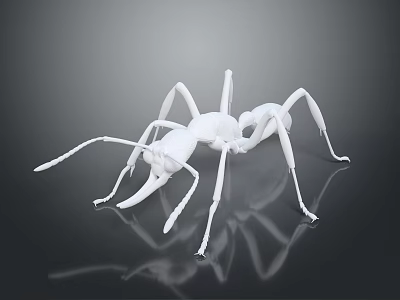 Detailed White Ant Model Displayed on Black Background with Clear Reflection 3d model