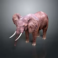 Realistic 3D Elephant Model With White Ivory Tusks On Dark Background 3d model
