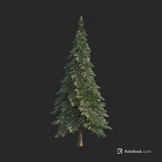 Tall Evergreen Arbor with Dense Green Foliage and Strong Straight Trunk 3d model 