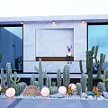 Outdoor Bonsai Potted Plants With Cactus Succulents And Decorative Lights By Marble Wall