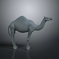 3D Rendered Camel Sculpture With Single Hump And Smooth Gray Surface On Dark Background