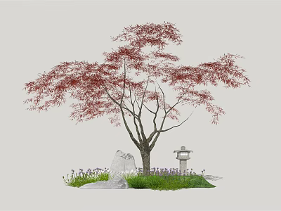 Japanese Maple Tree With Red Leaves Stone Lantern And Purple Flowers 3d model