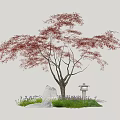 Japanese Maple Tree With Red Leaves Stone Lantern And Purple Flowers