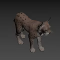 Realistic 3D Model of Lynx With Spotted Fur and Pointed Ears Standing