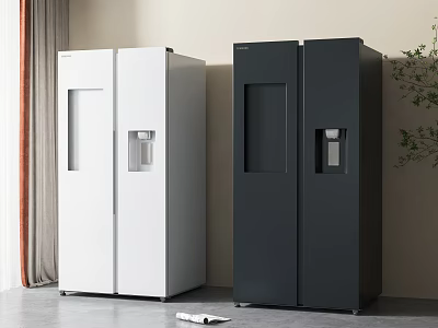 Modern Interior With White And Black Side By Side Refrigerators In Home Space 3d model