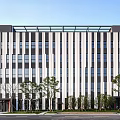 Modern Office Building Exterior With Striped Facade Large Windows And Front Trees