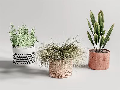 Varied Potted Plants With Geometric Pattern Textured And Solid Color Planters 3d model