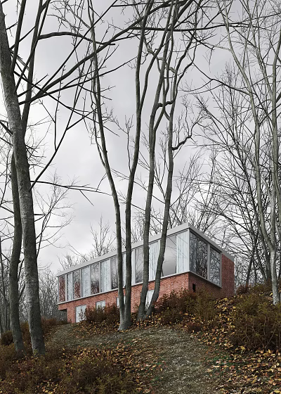 Detached Villa Among Bare Trees With Red Brick And Large Glass Windows Under Overcast Sky 3d model