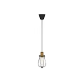 Industrial Vintage Pendant Light With Brass Finish Metal Cage And Clear Glass Filament