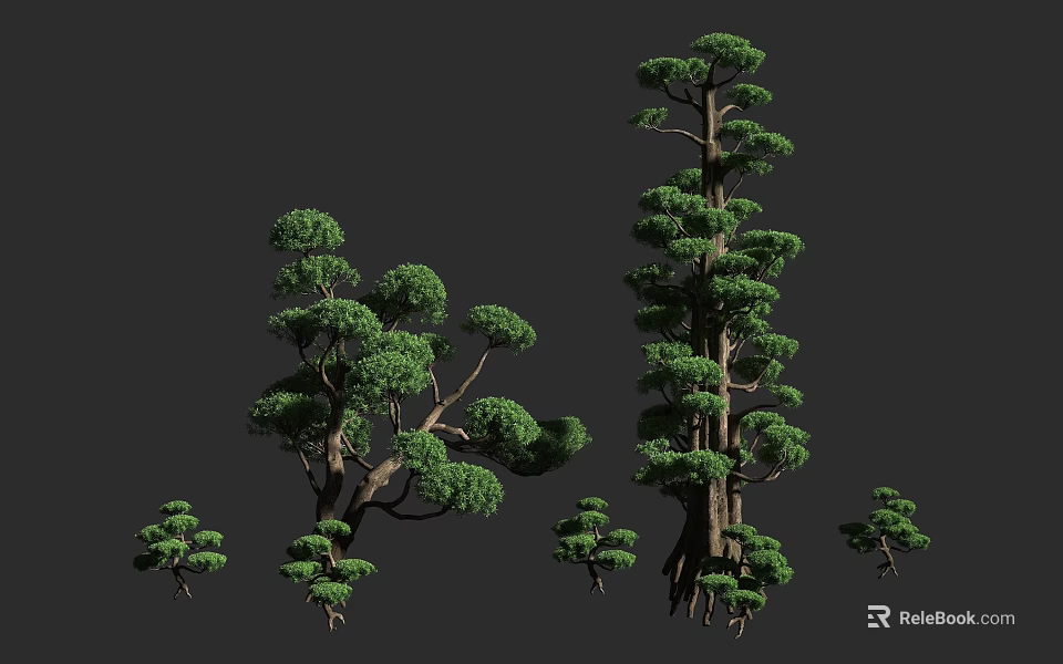 Tall Arbor 3D Models With Different Sizes Lush Foliage And Trunk Details 3d model 