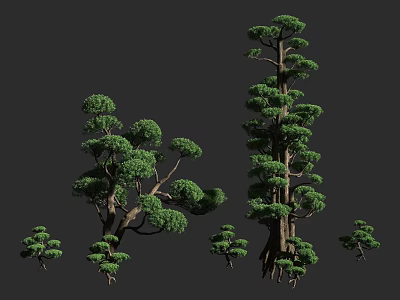 Tall Arbor 3D Models With Different Sizes Lush Foliage And Trunk Details 3d model