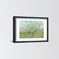 Four Black Framed Botanical Paintings Featuring Blooming Trees Green Grass 3d model