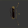 Intricate Decorative Bow with Golden Accents Brown Body Bowstring and Arrow as Traditional Weapon Design