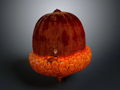 Detailed Acorn With Brown Top And Orange Textured Base On Dark Background 3d model