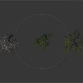 Three Different Trees With Thin Branches Dense Foliage And Leafy Canopies