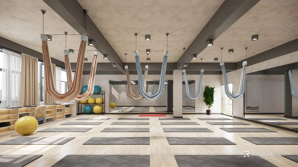 Modern Yoga Fitness Studio With Hanging Hammocks Yoga Mats And Exercise Balls 3d model 