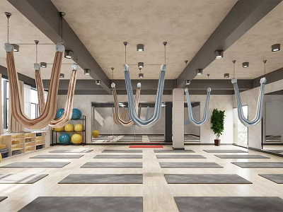 Modern Yoga Fitness Studio With Hanging Hammocks Yoga Mats And Exercise Balls 3d model
