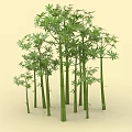 Beautiful Green Bamboo Plants With Tall Slender Stems And Lush Leaves