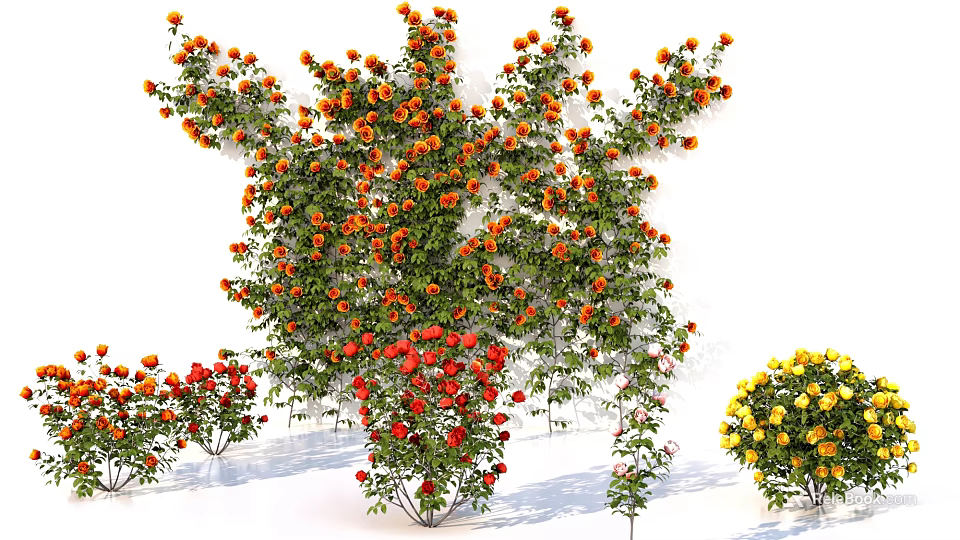 Vibrant Climbing Flowering Plants with Orange Red Yellow Blooms for Garden Decoration 3d model 