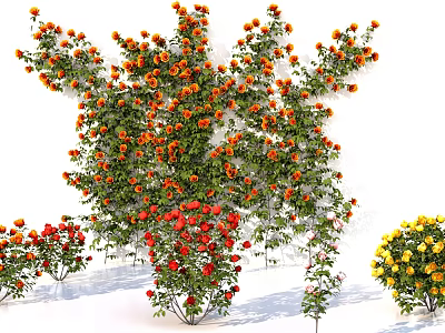 Vibrant Climbing Flowering Plants with Orange Red Yellow Blooms for Garden Decoration 3d model