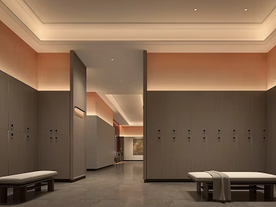 Modern SPA Sauna Interior Design With Wooden Lockers Rest Benches And Serene Ambiance 3d model