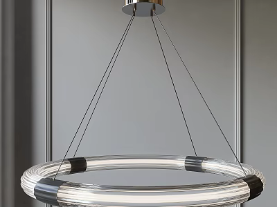 Modern Circular Transparent Chandelier With Metal Frame Hanging Design 3d model