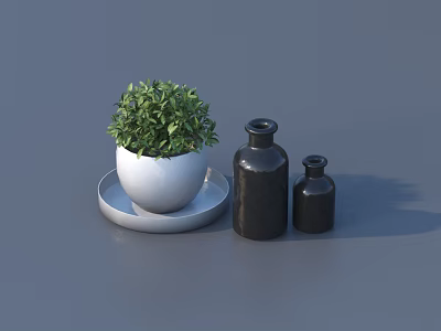 Green Bonsai Potted Plant in White Pot on White Tray with Two Black Bottles 3d model