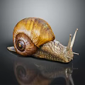 Detailed View of Snail with Brown Yellow Shell Striped Body on Dark Background with Reflection