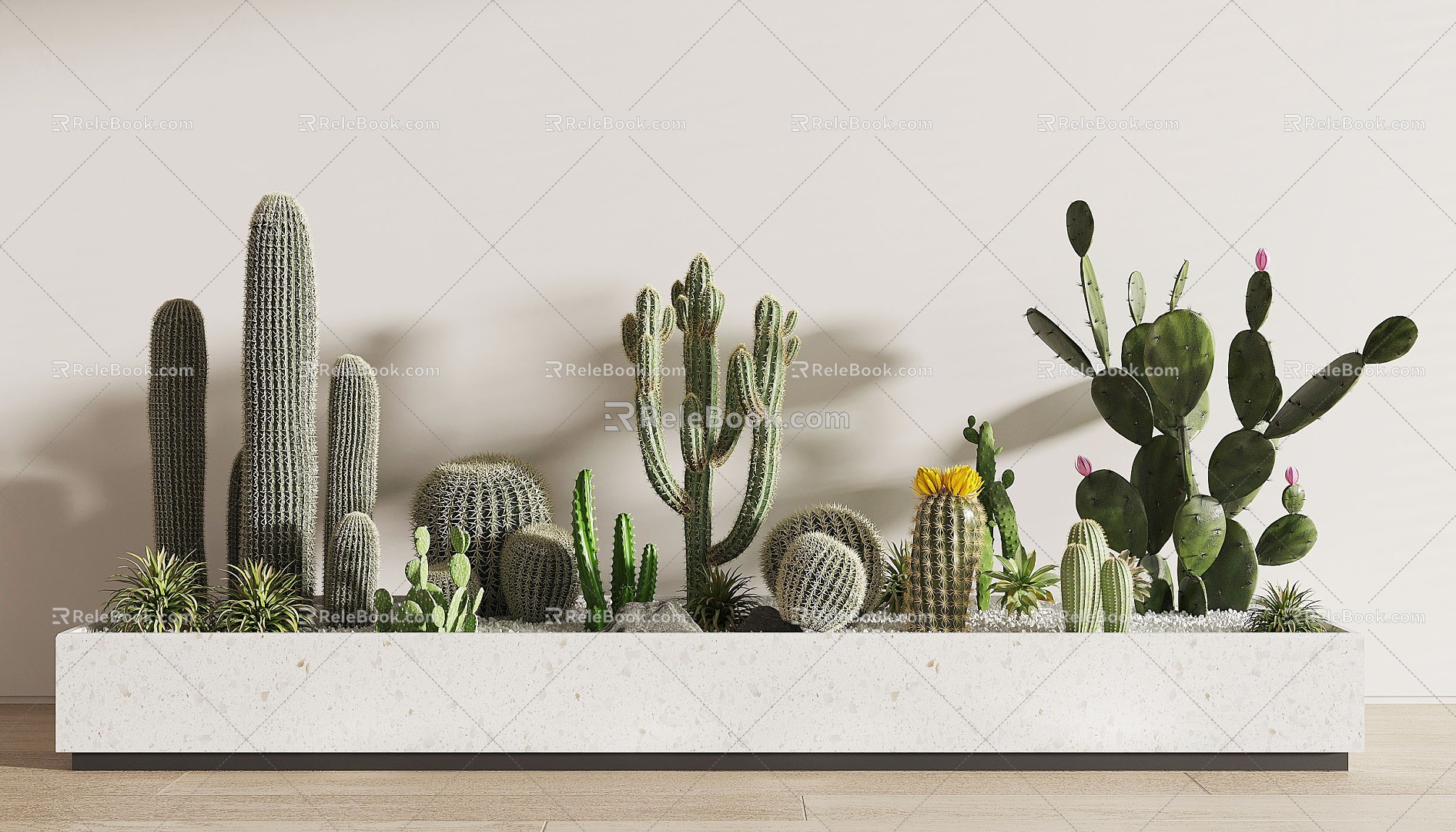 Modern Cactus 3d model