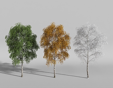 plant four seasons landscape tree spring summer autumn winter 3d model