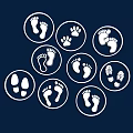 Stylish Wall Decor With Circular Footprints And Paw Prints On Dark Blue Background