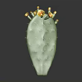 Green Cactus Plant With Thorns And Yellow Flowers On Dark Background