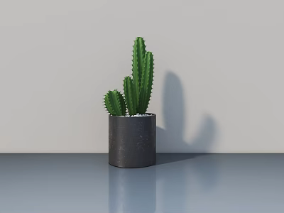 Decorative Potted Cactus Plant In Gray Cylindrical Pot On Smooth Surface With Light Background 3d model