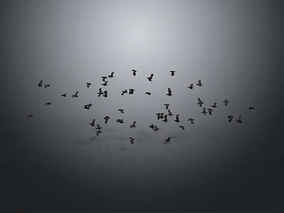 Large Flock of Birds Flying in Gray Sky Forming Natural Pattern 3d model
