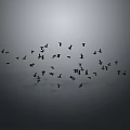Large Flock of Birds Flying in Gray Sky Forming Natural Pattern