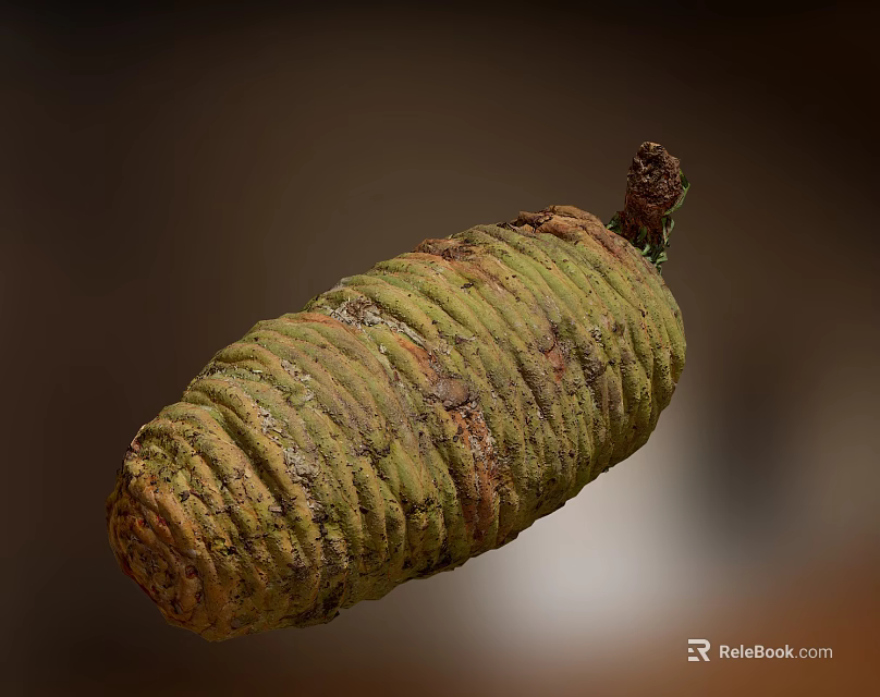 Close Up View Of Green And Brown Pine Cone With Spiral Scales And Small Tip 3d model 