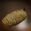 Close Up View Of Green And Brown Pine Cone With Spiral Scales And Small Tip