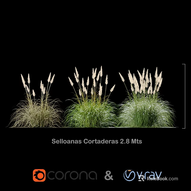 Decorative Ornament Set with Selloanas Cortaderas 2.8 Meters for Home Garden Decor 3d model 