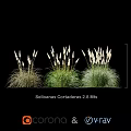 Decorative Ornament Set with Selloanas Cortaderas 2.8 Meters for Home Garden Decor