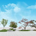 Modern Tree Courtyard Landscape Tree Combination 3d model