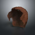 Detailed Realistic Brown Head Fur Featuring Fluffy Dense Textures And Natural Look