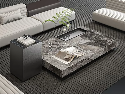 Contemporary Living Room Featuring Marble Coffee Table With Green Plant Magazines And Textured Carpet 3d model