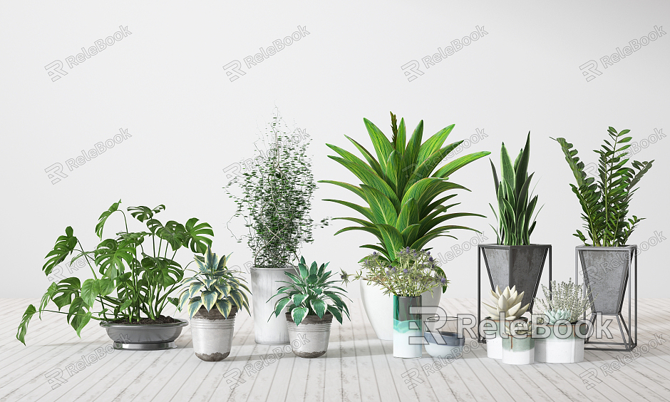 Modern Potted Plant model