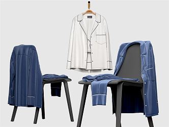 Modern Clothes Cloakroom Single Chair Silk Clothing Combo 3d model