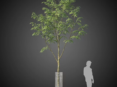 Green Leafy Arbor Featuring White Support Base and Human Silhouette for Size Reference 3d model