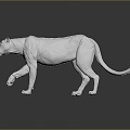 Modern Statue Bengal Tiger Anatomy Bengal Tiger 3d model