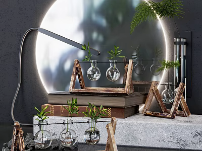 Glass Vases With Green Plants On Wooden Stands And Books Against Circular Mirror Background 3d model