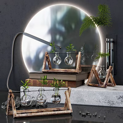 Glass Vases With Green Plants On Wooden Stands And Books Against Circular Mirror Background 3d model