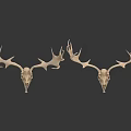 Two Decorative Deer Skull Mounts With Large Antlers On White Background 3d model